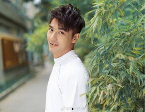 娱乐圈吃瓜剧情是真的吗,揭秘真相还是虚构传闻?