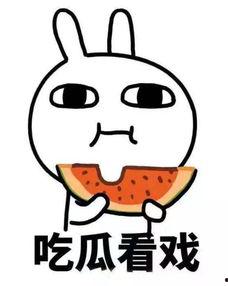 娱乐吃瓜酱晚安蠢蛋,揭秘娱乐圈的甜蜜与苦涩