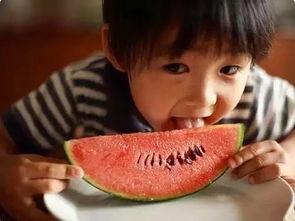 娱乐吃瓜君二豆